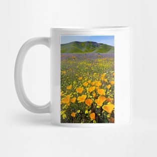 Shell Creek, California (C008/4531) Mug